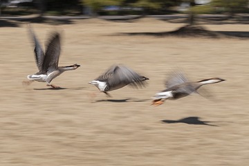 12828