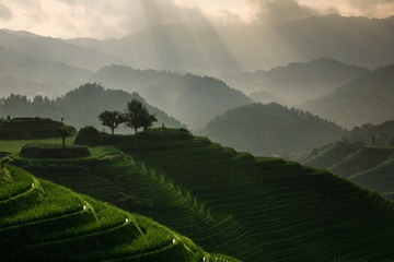 绿色阶梯