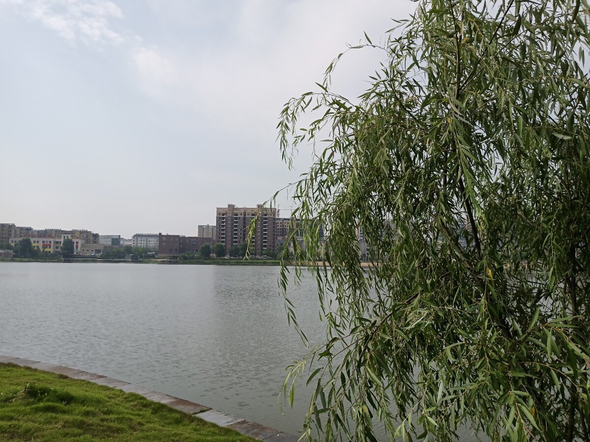湖上细雨