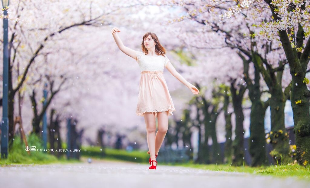 facebook: <a href="https://www.facebook.com/ShuinPhotography" target="_blank" rel="nofollow">https://www.facebook.com/ShuinPhotography</a><br />
Flickr主页:<a href="http://www.flickr.com/photos/lucas_shu/" target="_blank" rel="nofollow">http://www.flickr.com/photos/lucas_shu/</a><br />
今天也是樱花的照片,拍摄于清晨6点,大阪的一个樱花公园,本希望樱花还能再开一段时间的。。