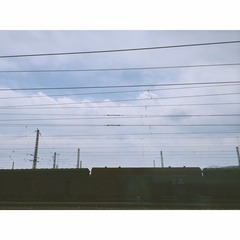 IMG_1719.C840611A0A148335EFE84B64CE84E628