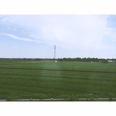 IMG_1723.305F38379C253A45114ACA33DF4ACBEF
