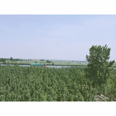 IMG_1728.8610670783BF8AA3C508B0ECEB3ED300