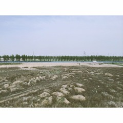 IMG_1739.2D7738EF08A6F3F7C17C5E4BE078FECF