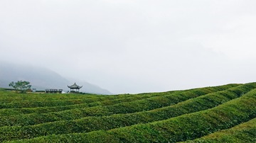 567163