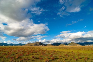 20090429-DSC_0767-1600.jpg