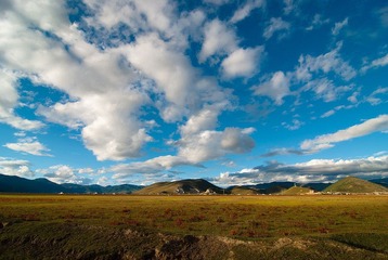 20090429-DSC_0795-1600.jpg