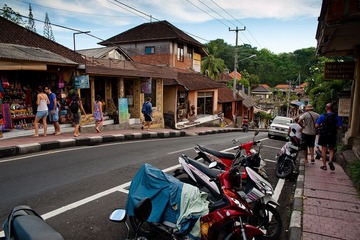 20111024-_DSC7294-1600.jpg