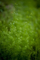 20120303-_DSC8805-1600.jpg