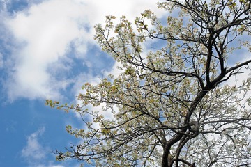 20120303-_DSC8814-1600.jpg