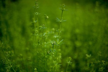 20120303-_DSC8804-1600.jpg