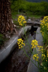 20120303-_DSC8713-1600.jpg