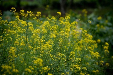 20120303-_DSC8737-1600.jpg
