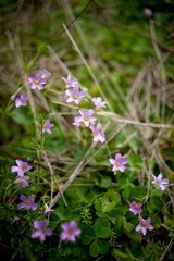 20120303-_DSC8807-1600.jpg