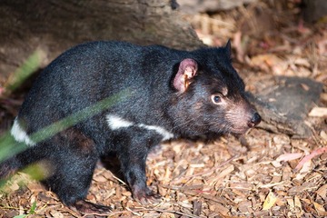 20120419-_DSC9508-1600.jpg