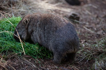 20120419-_DSC9514-1600.jpg