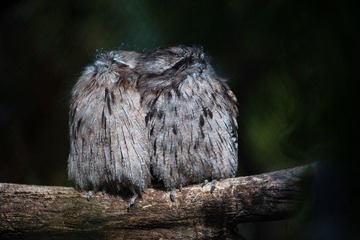 20120419-_DSC9499-1600.jpg
