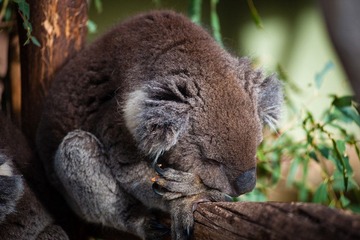 20120419-_DSC9489-1600.jpg