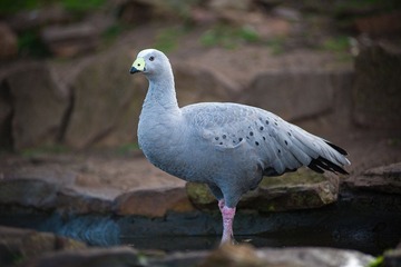 20120419-_DSC9467-1600.jpg
