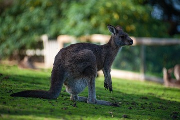 20120419-_DSC9462-1600.jpg