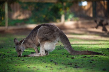 20120419-_DSC9461-1600.jpg