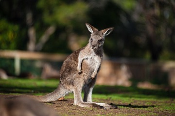 20120419-_DSC9449-1600.jpg