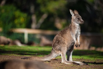 20120419-_DSC9448-1600.jpg