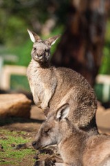 20120419-_DSC9446-1600.jpg