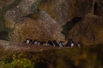 20120419-_DSC9583-1600.jpg