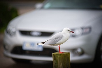 20120420-_DSC9630-1600.jpg