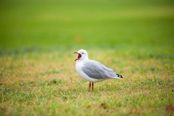 20120420-_DSC9619-1600.jpg