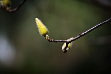 20110206-DSC_4003-900