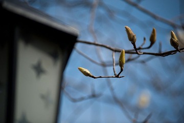 20110206-DSC_4011-900