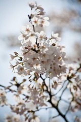 20110326-DSC_4670-900