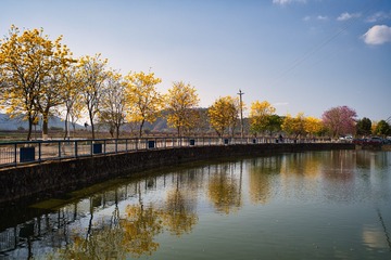 310436