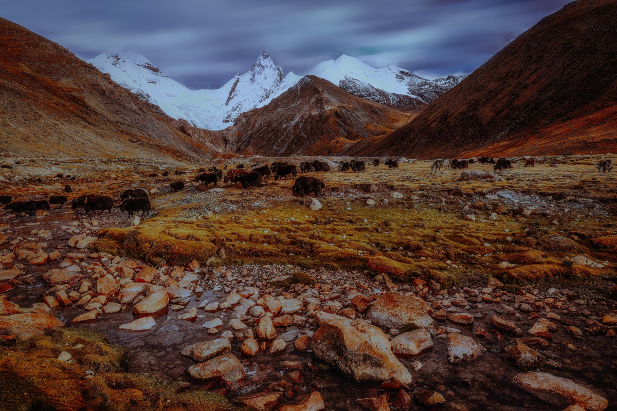 雅拉香波神山合集