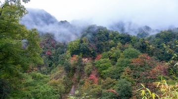 光雾山十八月潭