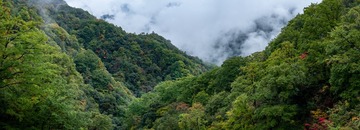 光雾山十八月潭