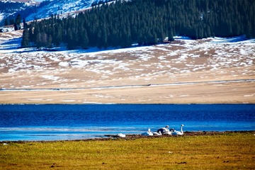 “IMG_1044”-1