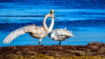 “IMG_1077”-1