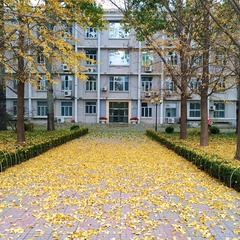 与秋天一同路过