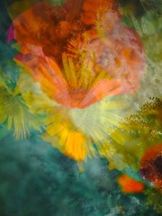 R0019811PS