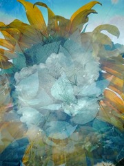 R0019834PS