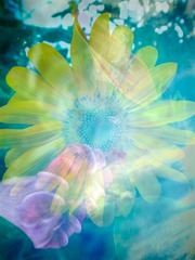 R0019835PS