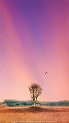 001