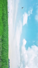 001