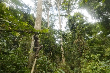 P9057835