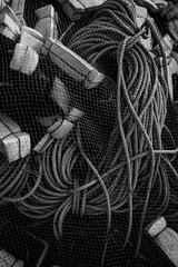 1BBCACBD-083E-4583-AC8A-82D4858A9054/L0/001