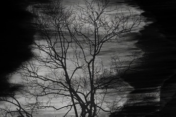 50803A50-9DCD-4B4C-88FE-6CF5157A3BCE/L0/001