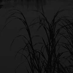 71E59FF9-50C5-43AF-AA0E-EB87EF618B58/L0/001
